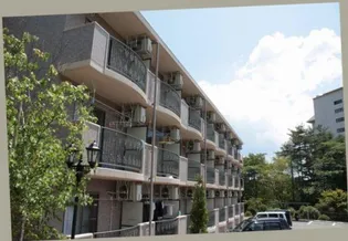 サニーヒルフナツヤの画像