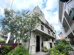 ドルフィンオオヤIIの画像