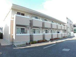 ノーブル コートの画像