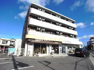 プリシードの画像