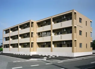 ミウ プリマヴェーラの画像