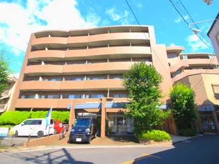 レアルコートの画像