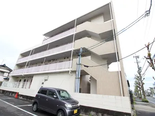 シャトー大根の画像