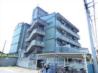 エレガンシアヤマナシの画像