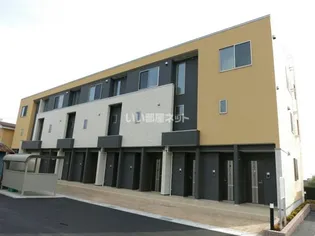 サンフラワーの画像