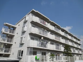 コンチネントNの画像