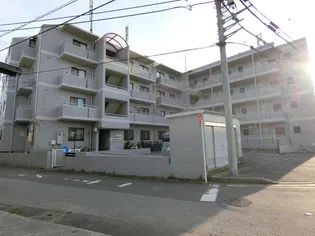 トーヨー柏ハイムの画像