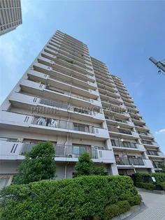 コア スターレ西大井の画像