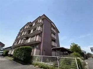 シーフォレストの画像