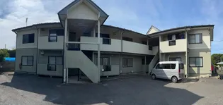 セティールヒヨリの画像