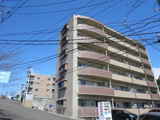 いずみTOWNHILLSの画像