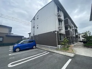 グランステラの画像