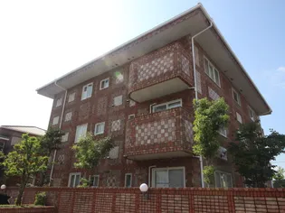 アプリコットの画像