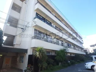 マンションハヤシビルの画像