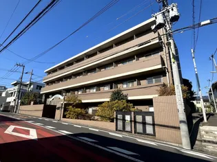 メルヴェイユの画像