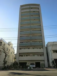 ニューボンデージの画像