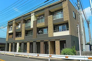 ハナミズキの画像