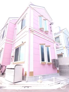 シエスタパンジーの画像