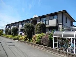 パナハイツアゼリアの画像