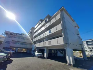 フェステ菊屋第6の画像