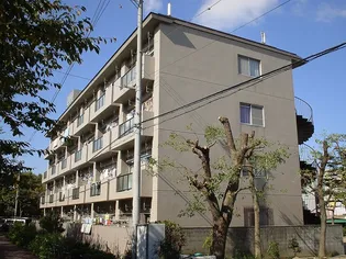 第3マンション北の画像