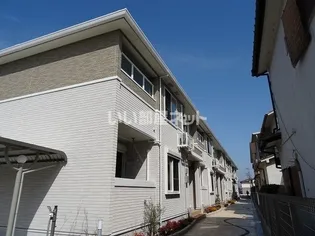 ダンデライオンますがDの画像