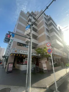 ティックハウスの画像