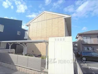 グレイスソシアキトロの画像