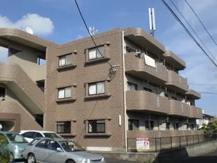 ピース21の画像