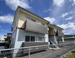 パキマウイの画像