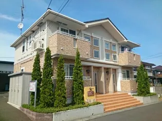 チェリーブラッサムの画像