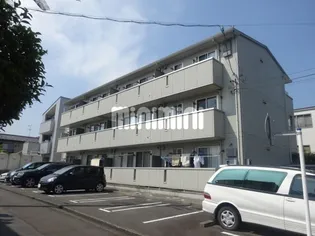 ラシックの画像