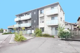 ベレオ江場の画像