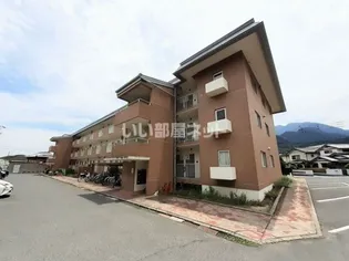 パソナⅤ Ⅵの画像