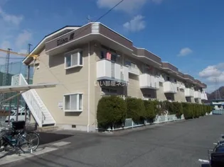 エルディム蘭の画像