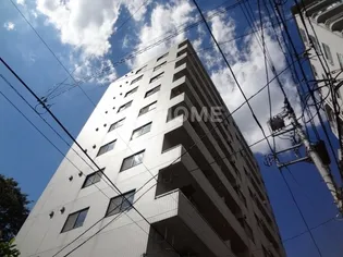 ハイリードセイフウの画像