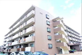 マロニエハイツ今泉の画像