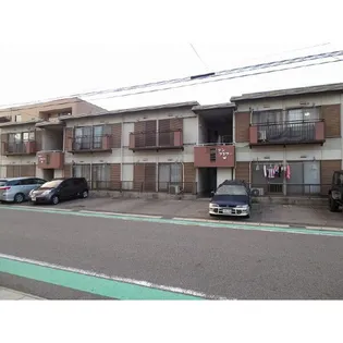 サンフラワーWの画像