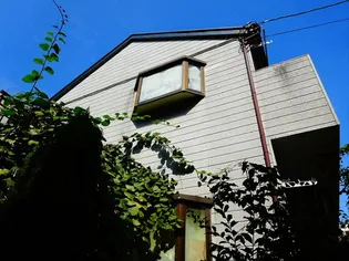 フラットハナタキの画像