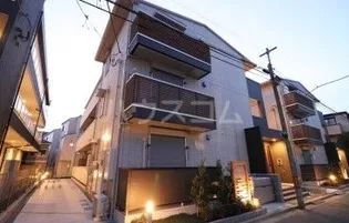 シダーカーサの画像