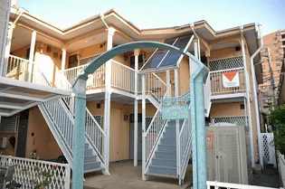 マロンド ユーの画像