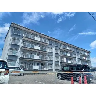 江場ハイツの画像
