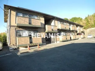 ウィルモアK Tの画像