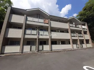 フォーリスト黒髪の画像