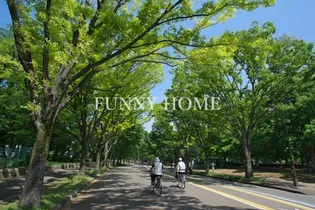 Green Way Yakumo【1階】の周辺