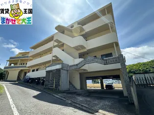 コーポタツミ【2階】の外観