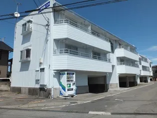 市川第2ビル【3階】の外観