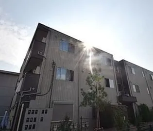 シェモア東砂の画像