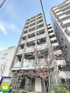 アビタシオン 木場公園の画像