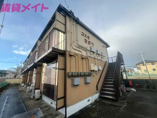 コスモセガワの画像